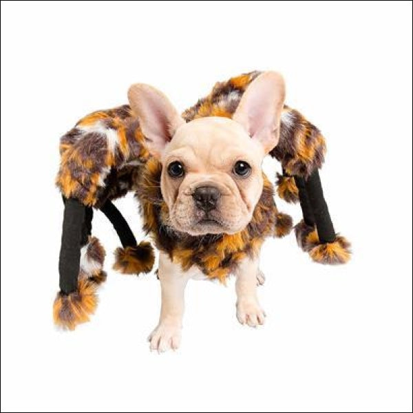 Spider Costume For Dogs