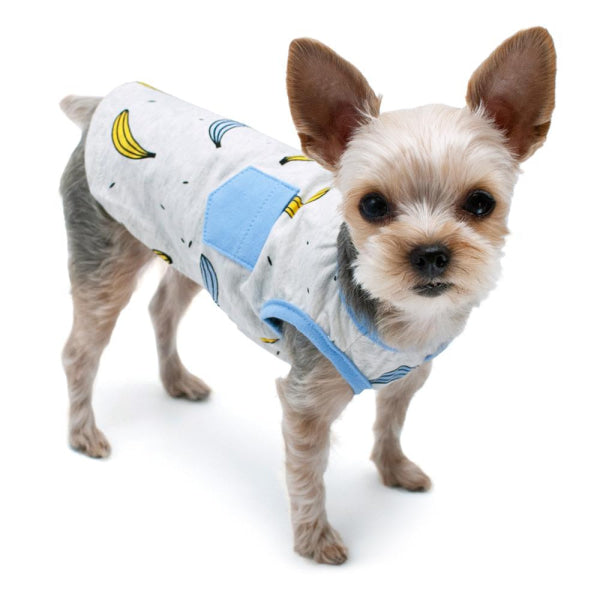 Dog Clothes - Pup & Co Boutique