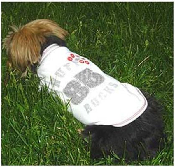 Dog Clothes - Pup & Co Boutique