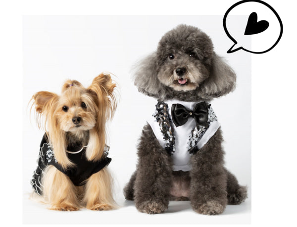 Dog Clothes - Pup & Co Boutique