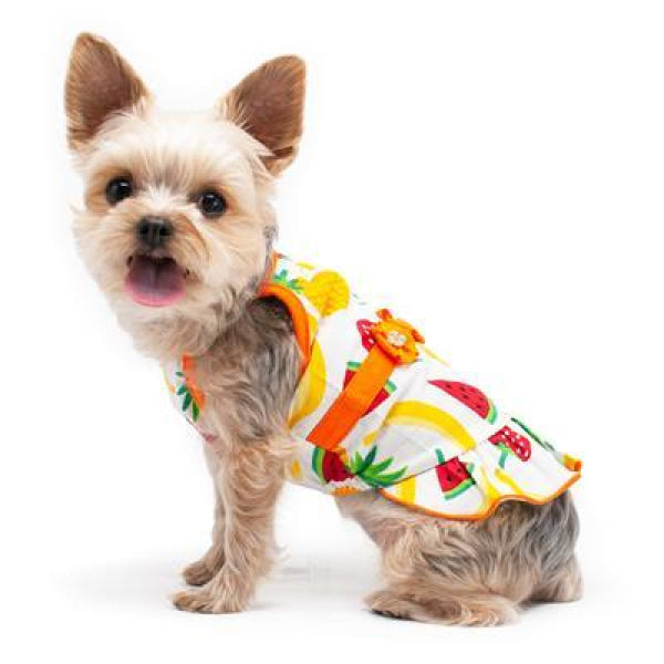 Fruitilicious Dog Sun Dress