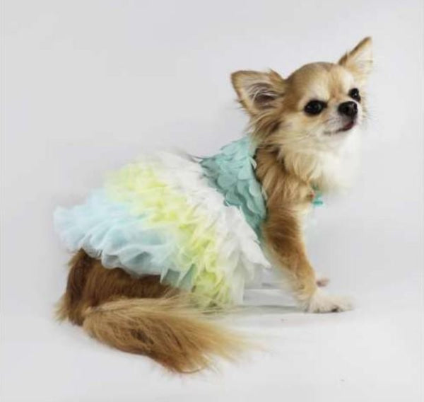 Dog Clothes - Pup & Co Boutique