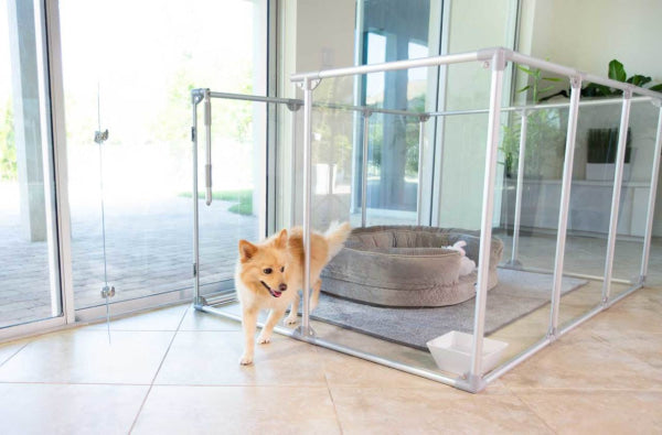 Lucidium dog pen sale