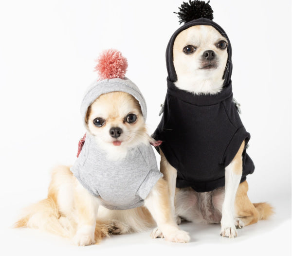 Dog Clothes - Pup & Co Boutique