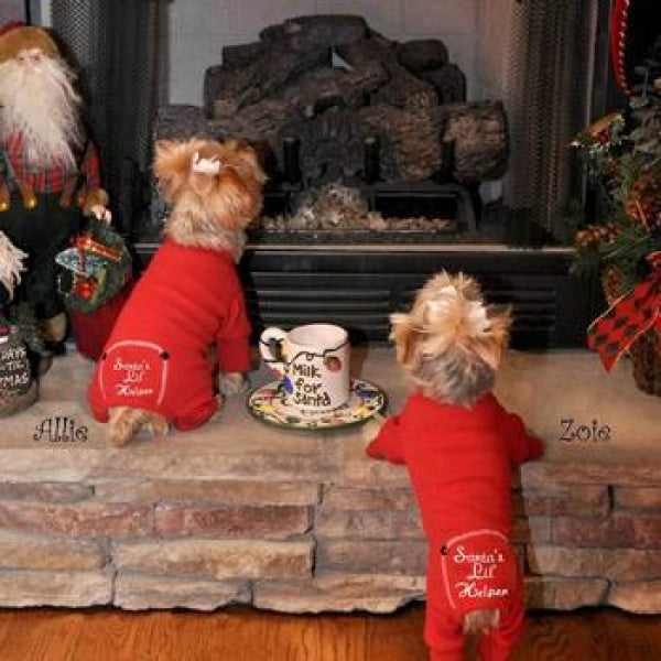 Dog Clothes - Pup & Co Boutique