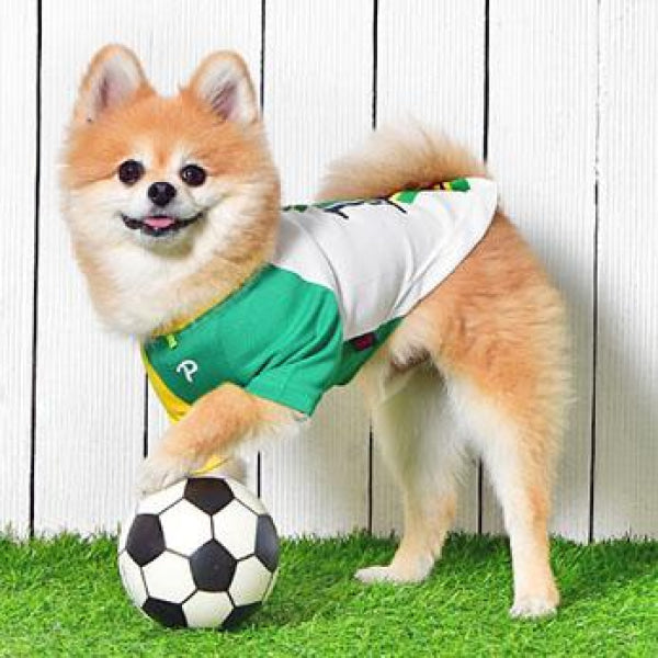 Dog Clothes - Pup & Co Boutique