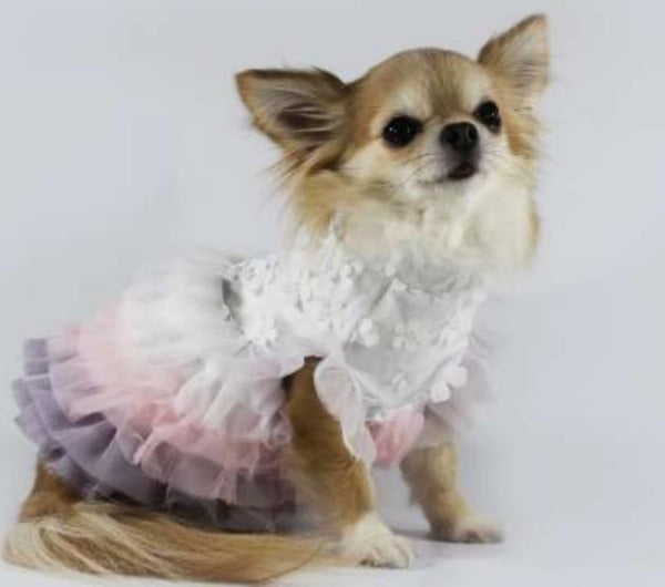 Dog Clothes - Pup & Co Boutique