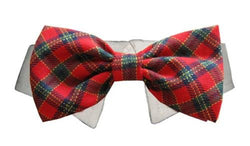 Dog Clothes - Pup & Co Boutique