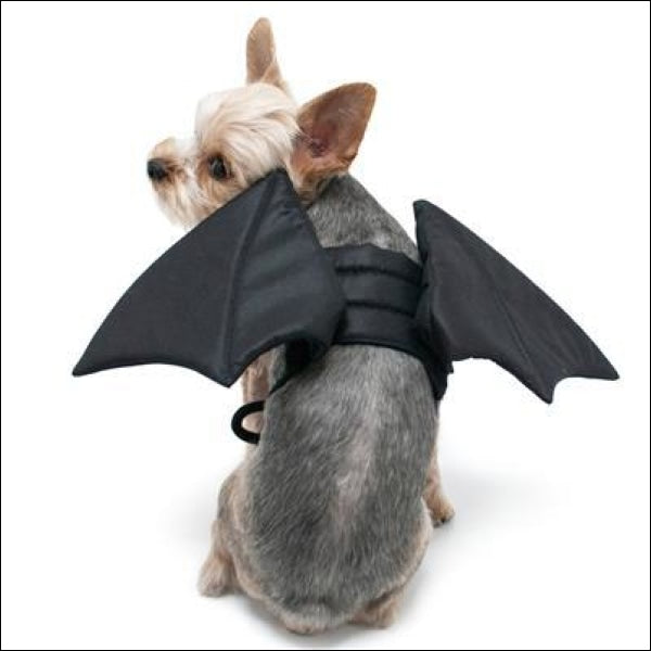 Bat Dog Wings