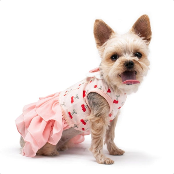 Cherish Cherry Dog Dress