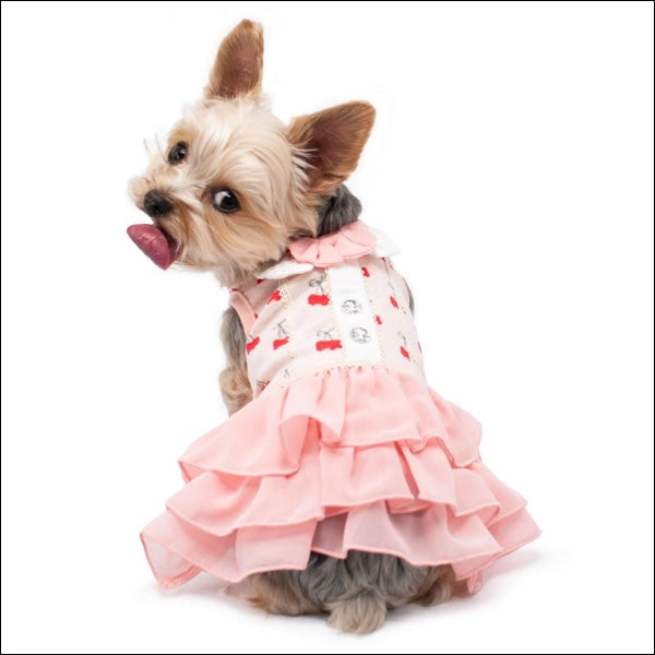 Cherish Cherry Dog Dress