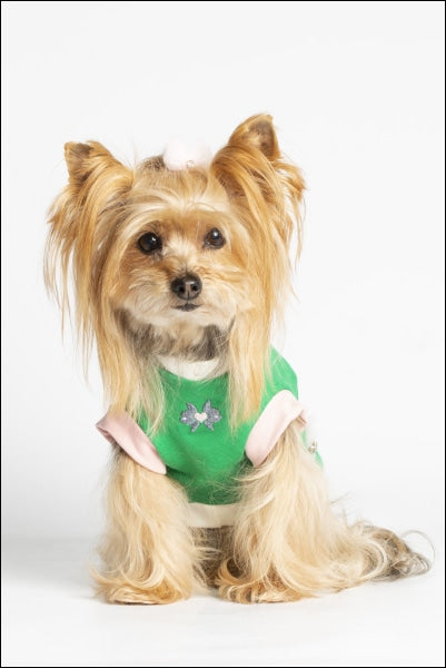 Dog Clothes - Pup & Co Boutique
