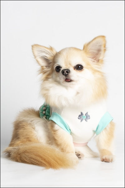 Dog Clothes - Pup & Co Boutique