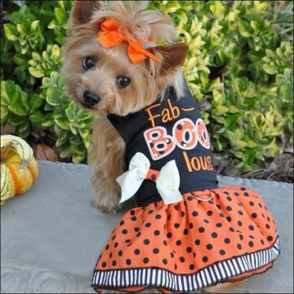 Fab-BOO-lous Dog Dress