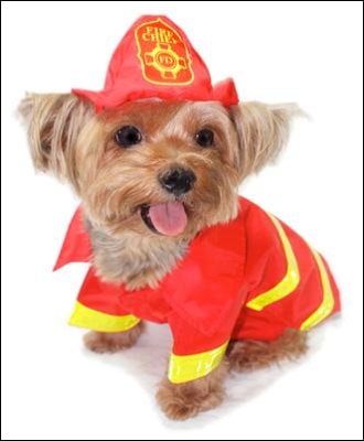 Dog Clothes - Pup & Co Boutique