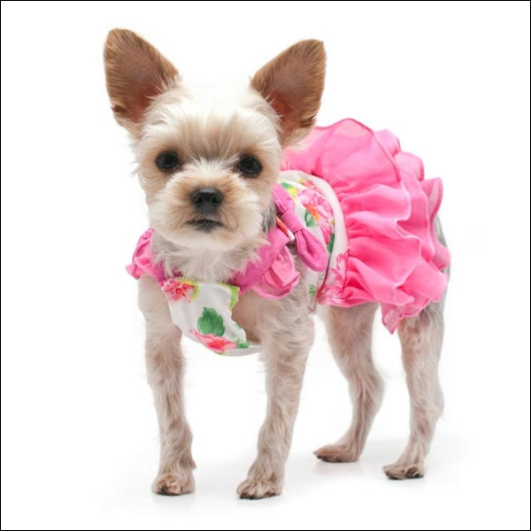 Dog Clothes - Pup & Co Boutique