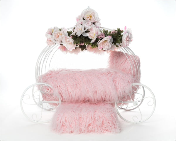 Flower Girl Dog Carriage Bed