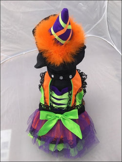 Halloween Neon Orange Witch Dog Costume