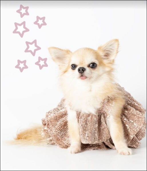 Dog Clothes - Pup & Co Boutique