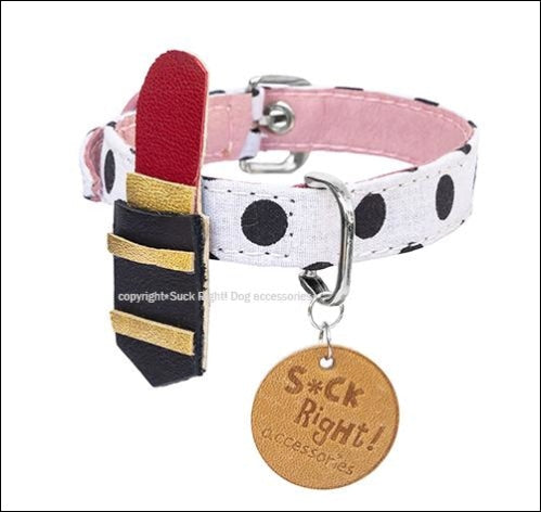 Pin on Doggy Accessories