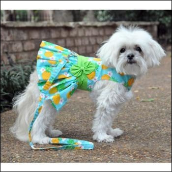 Dog Clothes - Pup & Co Boutique