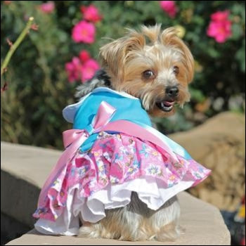 Dog Clothes - Pup & Co Boutique