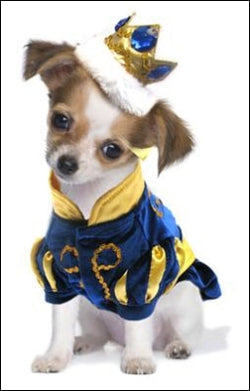 Dog Clothes - Pup & Co Boutique