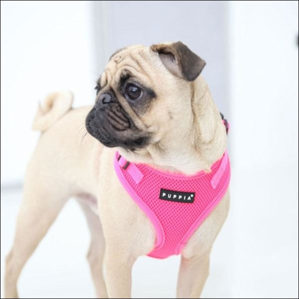 Dog Clothes - Pup & Co Boutique