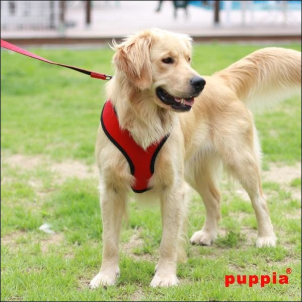 Dog Clothes - Pup & Co Boutique
