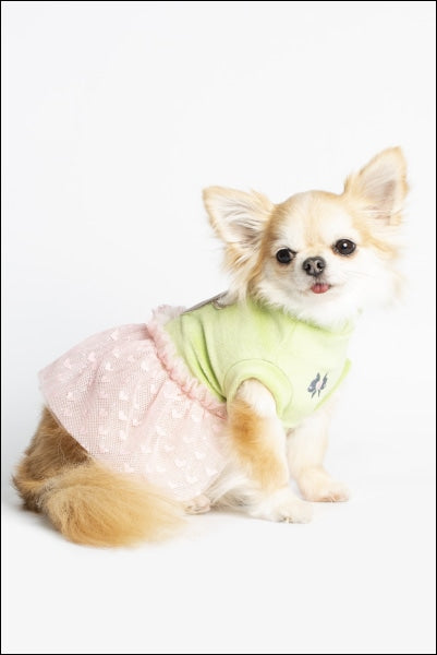 Dog Clothes - Pup & Co Boutique
