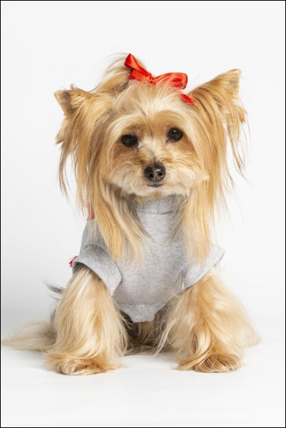 Dog Clothes - Pup & Co Boutique