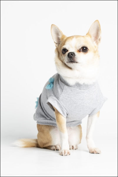 Dog Clothes - Pup & Co Boutique