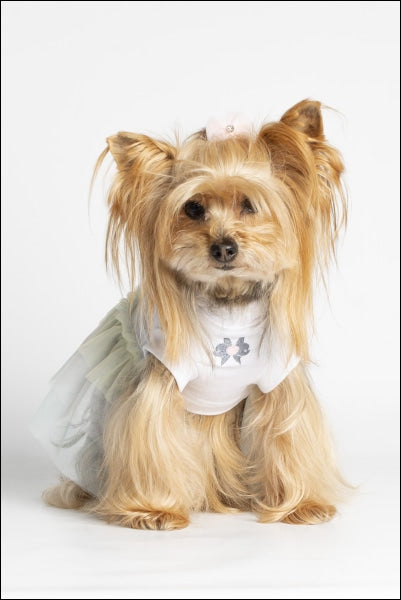 Dog Clothes - Pup & Co Boutique