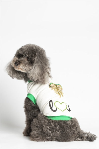 Dog Clothes - Pup & Co Boutique