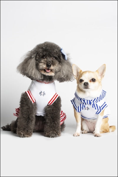 Dog Clothes - Pup & Co Boutique