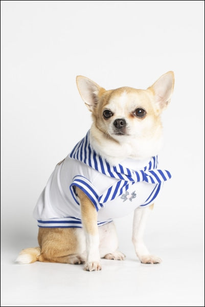 Dog Clothes - Pup & Co Boutique