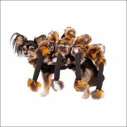 Spider Costume For Dogs