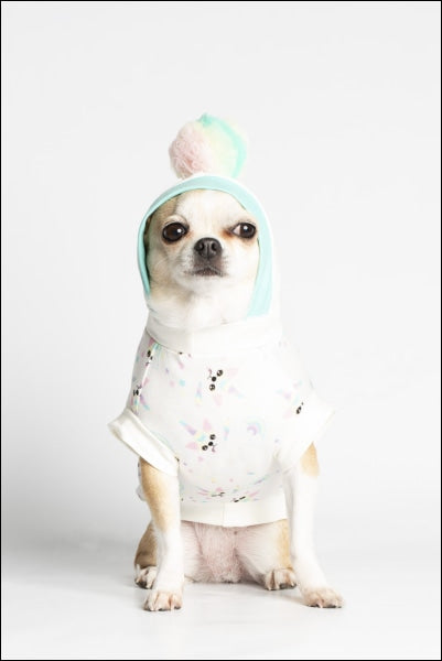 Dog Clothes - Pup & Co Boutique