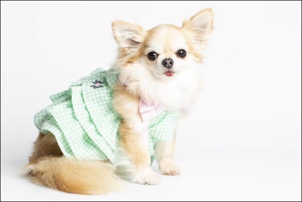 Dog Clothes - Pup & Co Boutique