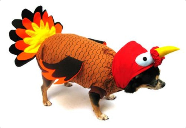 Turkey Dog Costume