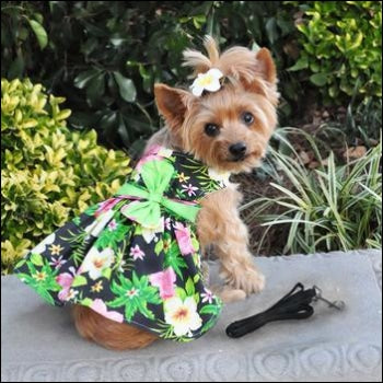 Dog Clothes - Pup & Co Boutique