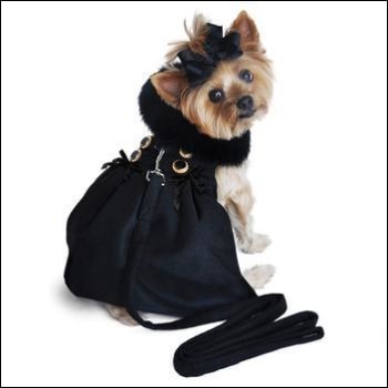 Dog Clothes - Pup & Co Boutique