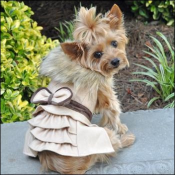 Dog Clothes - Pup & Co Boutique